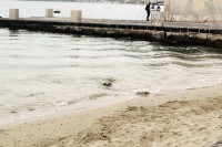 /album/landscape/a248010-1741229530203-4008863-n-copia-jpg/